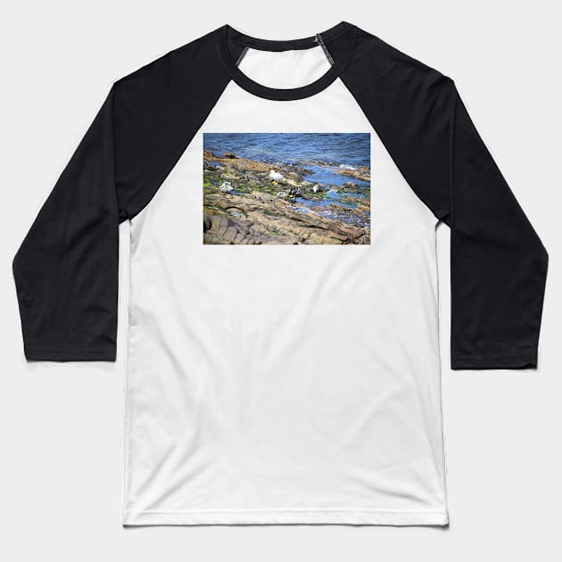 Kelp Goose Family Falkland Islands Baseball T-Shirt by Carole-Anne